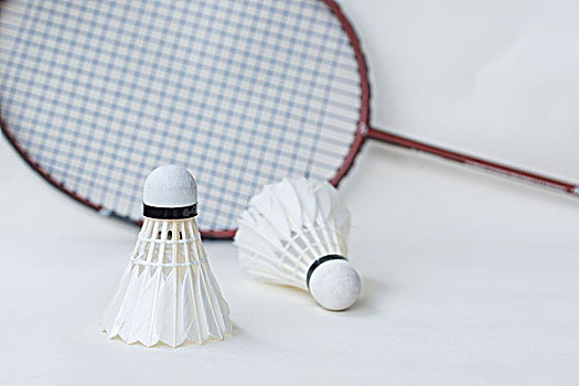 付出的心血 付出的心血